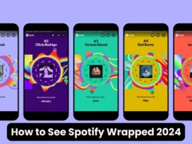 How to See Spotify Wrapped 2024