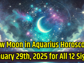 New Moon in Aquarius Horoscope January 29th, 2025 for All 12 Signs