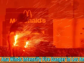 Santa Ana Winds Intensify Fire Danger in Los Angeles