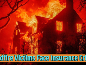 Wildfire Victims Face Insurance Crisis